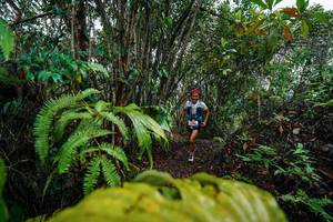 BIB: 
                            <button type="button" onclick="openModal(26196436)" class="btn btn-primary btn-sm float-right btn-popup" data-toggle="modal" data-target=".modal-high-quality">
                        <i class="fas fa-shopping-cart"></i> Add to Cart
                    </button>
                                            <button type="button" onclick="isThisMe(26196436, true)" class="btn btn-success btn-sm float-right btn-popup btn-isme hidden" data-toggle="tooltip" data-placement="bottom" title="นี่คือรูปของคุณใช่ไหม คลิกที่นี่เพื่อเอาเข้าอัลบั้ม">
                        <i class="fas fa-plus"></i> Add to album
                    </button>
                    <button type="button" onclick="isThisMe(26196436, false)" class="btn btn-warning btn-sm float-right btn-popup btn-isnotme hidden">
                        <i class="fas fa-ban"></i> Remove from album
                    </button>